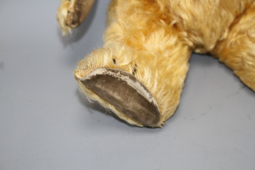 A Chiltern bear, c.1930s, 16in., velvet pads, glass eyes and thick golden mohair